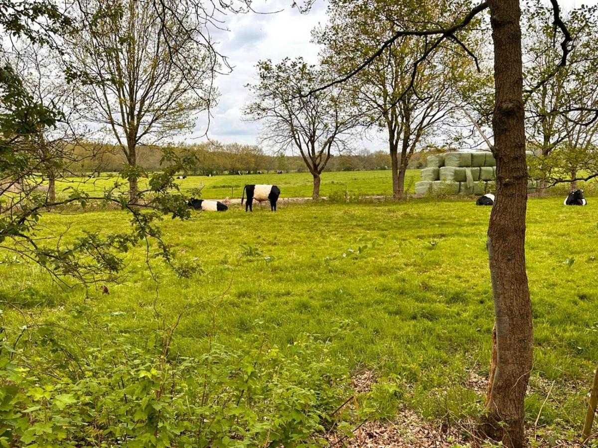 De Bosuil Zuidwolde (Drenthe) Exterior foto