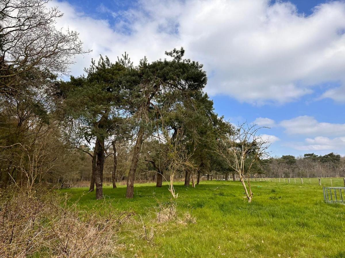 De Bosuil Zuidwolde (Drenthe) Exterior foto